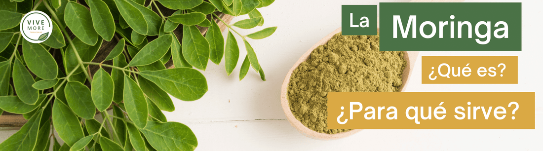 La Moringa - Para qué sirve y sus beneficios
