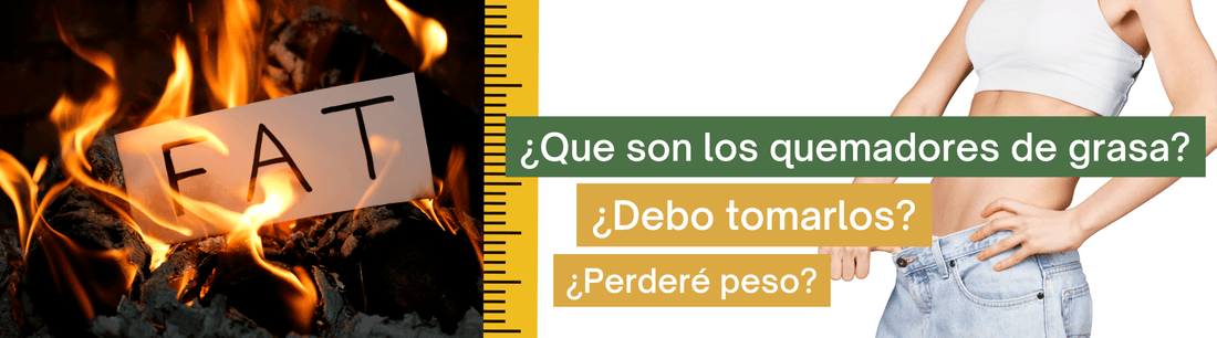 ¿Que son los quemadores de grasa?