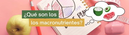 ¿Que son los macronutrientes?