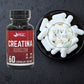 Creatina 500mg 60 Cap - FNL